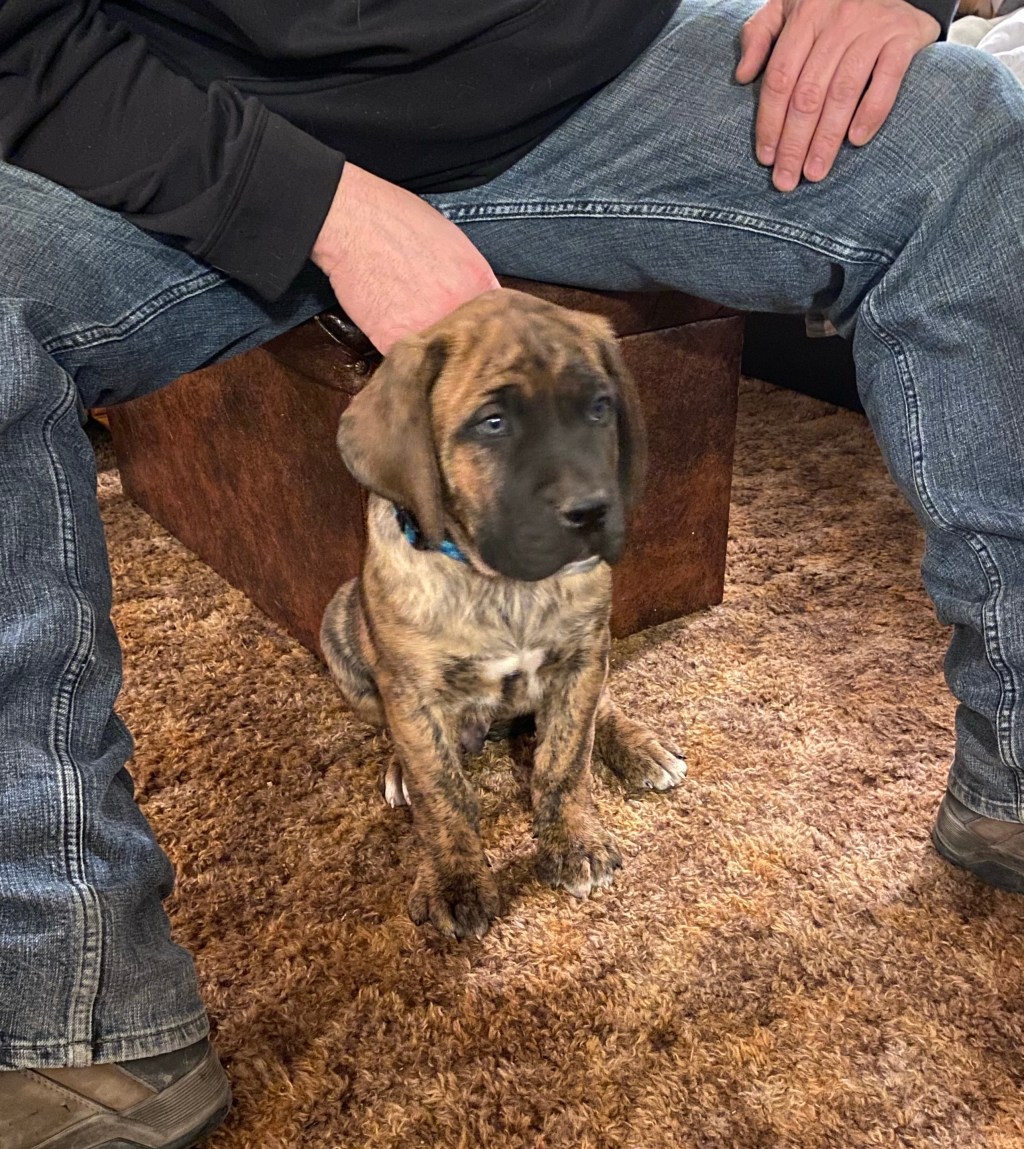 Its Been 6 Years….Let’s Catch&nbsp;Up!